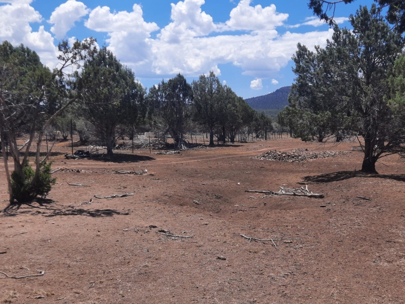 No Caption