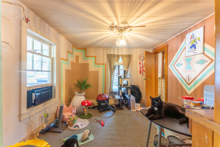Investment Opportunity West Plains | Missouri Ozarks - image 8
