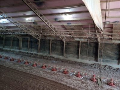 Poultry Farm For Sale in Huntsville, Arkansas - image 8