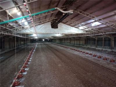 Poultry Farm For Sale in Huntsville, Arkansas - image 10