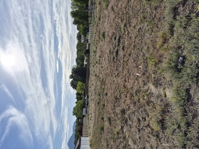 4 lots bundled together for one great price - image 6
