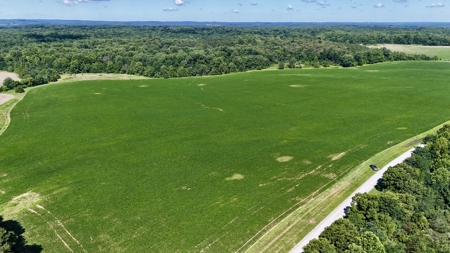 92 Acres for Sale in Crofton, Ky | Tillable Farm, Hunting Propert - image 1