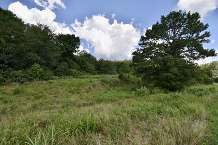 92 Acres for Sale in Crofton, Ky | Tillable Farm, Hunting Propert - image 10