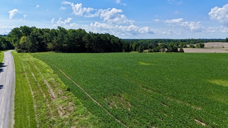 92 Acres for Sale in Crofton, Ky | Tillable Farm, Hunting Propert - image 27