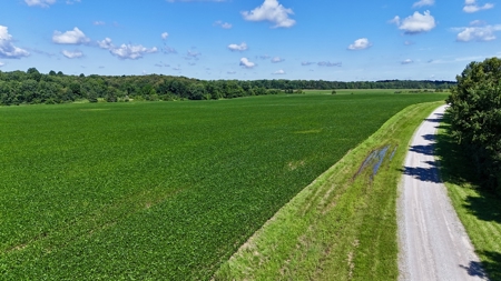 92 Acres for Sale in Crofton, Ky | Tillable Farm, Hunting Propert - image 24