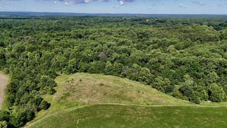 92 Acres for Sale in Crofton, Ky | Tillable Farm, Hunting Propert - image 22
