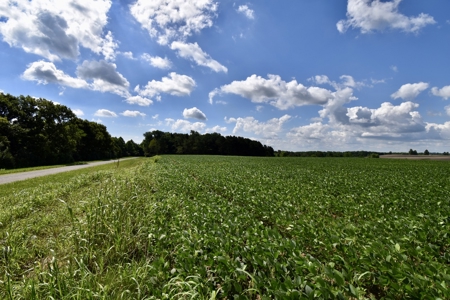 92 Acres for Sale in Crofton, Ky | Tillable Farm, Hunting Propert - image 2