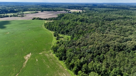 92 Acres for Sale in Crofton, Ky | Tillable Farm, Hunting Propert - image 25