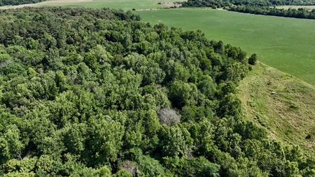 92 Acres for Sale in Crofton, Ky | Tillable Farm, Hunting Propert - image 14