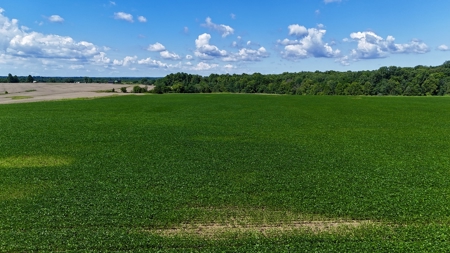 92 Acres for Sale in Crofton, Ky | Tillable Farm, Hunting Propert - image 26