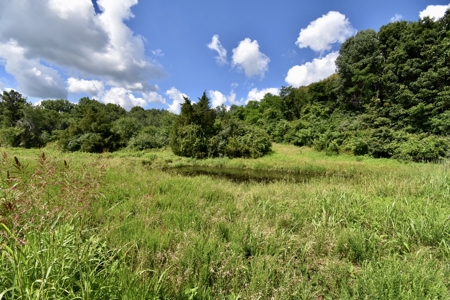 92 Acres for Sale in Crofton, Ky | Tillable Farm, Hunting Propert - image 8