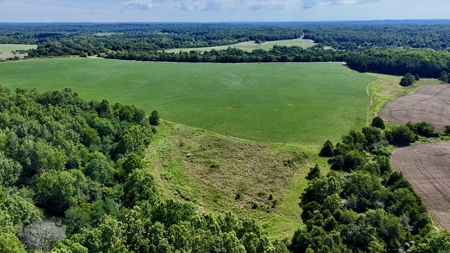 92 Acres for Sale in Crofton, Ky | Tillable Farm, Hunting Propert - image 21