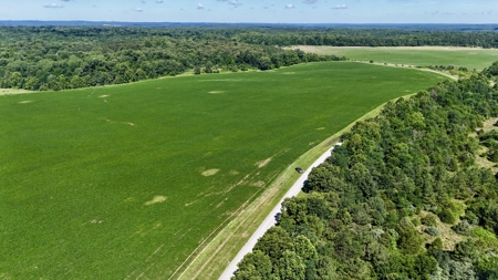 92 Acres for Sale in Crofton, Ky | Tillable Farm, Hunting Propert - image 20