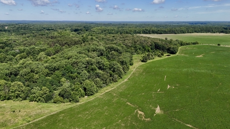 92 Acres for Sale in Crofton, Ky | Tillable Farm, Hunting Propert - image 9