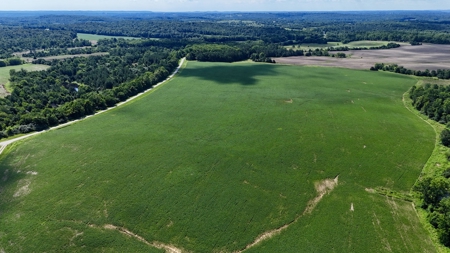 92 Acres for Sale in Crofton, Ky | Tillable Farm, Hunting Propert - image 7
