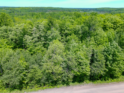 74 ± Acres of Hardwood Timber & Hunting Land in Glidden, WI - image 8