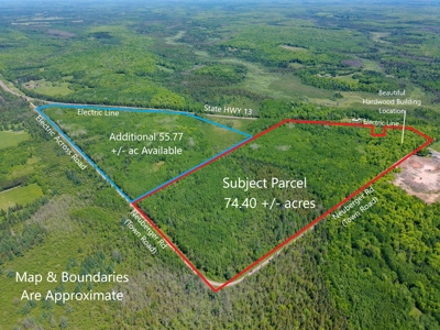 74 ± Acres of Hardwood Timber & Hunting Land in Glidden, WI - image 1