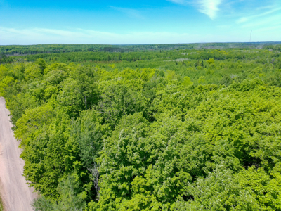74 ± Acres of Hardwood Timber & Hunting Land in Glidden, WI - image 2