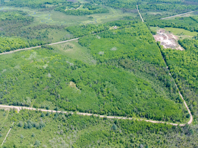 74 ± Acres of Hardwood Timber & Hunting Land in Glidden, WI - image 3