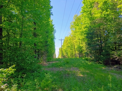 74 ± Acres of Hardwood Timber & Hunting Land in Glidden, WI - image 15