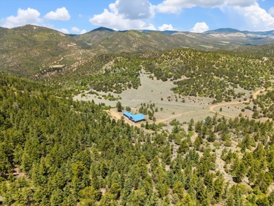 44 ± Acre Luxury Mountain Home for Sale Near Cotopaxi, CO - image 10