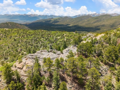 44 ± Acre Luxury Mountain Home for Sale Near Cotopaxi, CO - image 12