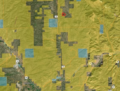 44 ± Acre Luxury Mountain Home for Sale Near Cotopaxi, CO - image 48