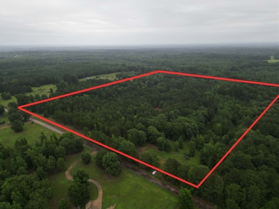35± Acres with Pond for Sale in Atlanta, Texas  Fenced East Texas - image 15