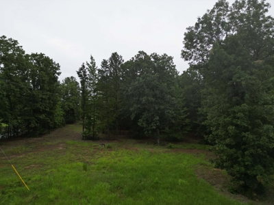 35± Acres with Pond for Sale in Atlanta, Texas  Fenced East Texas - image 13