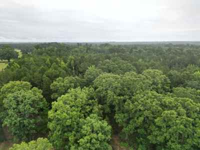 35± Acres with Pond for Sale in Atlanta, Texas  Fenced East Texas - image 12