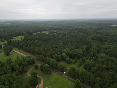 35± Acres with Pond for Sale in Atlanta, Texas  Fenced East Texas - image 4