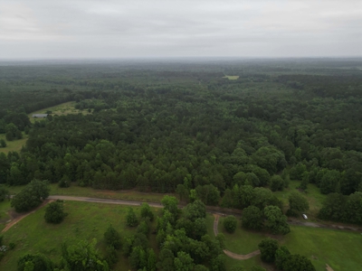 35± Acres with Pond for Sale in Atlanta, Texas  Fenced East Texas - image 5