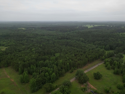 35± Acres with Pond for Sale in Atlanta, Texas  Fenced East Texas - image 10