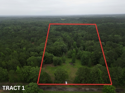 35± Acres with Pond for Sale in Atlanta, Texas  Fenced East Texas - image 1