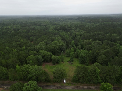 35± Acres with Pond for Sale in Atlanta, Texas  Fenced East Texas - image 7
