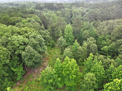 35± Acres with Pond for Sale in Atlanta, Texas  Fenced East Texas - image 11