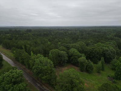 35± Acres with Pond for Sale in Atlanta, Texas  Fenced East Texas - image 6
