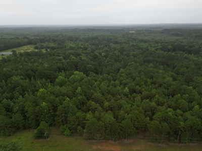 35± Acres with Pond for Sale in Atlanta, Texas  Fenced East Texas - image 9