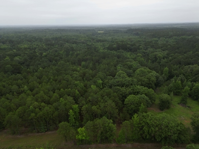 35± Acres with Pond for Sale in Atlanta, Texas  Fenced East Texas - image 8