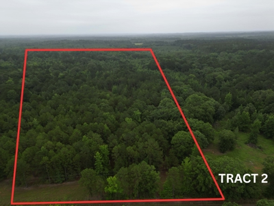 35± Acres with Pond for Sale in Atlanta, Texas  Fenced East Texas - image 16