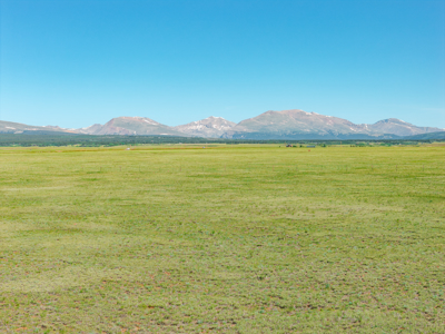 Amazing 80 acres in Fairplay with incredible Mosquito Range views - image 21