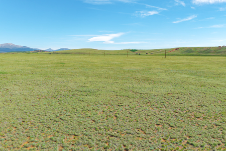 Amazing 80 acres in Fairplay with incredible Mosquito Range views - image 19