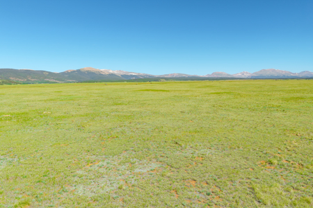 Amazing 80 acres in Fairplay with incredible Mosquito Range views - image 9