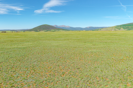 Amazing 80 acres in Fairplay with incredible Mosquito Range views - image 17