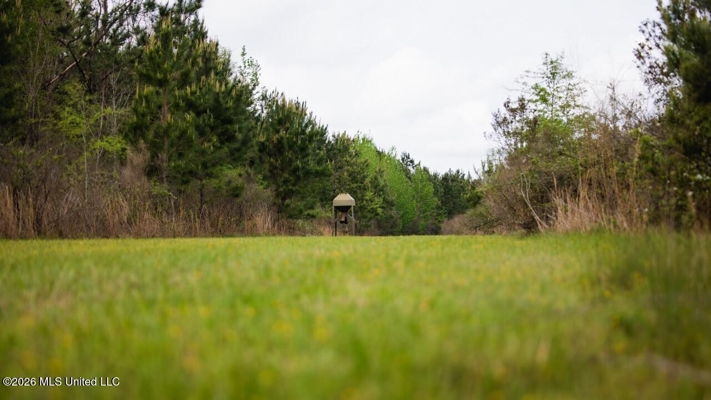 958± Acre High-Fence Ranch in Oakdale, Louisiana