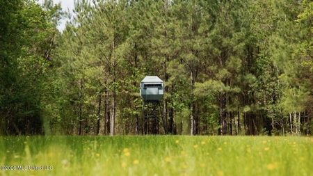 958± Acre High-Fence Ranch in Oakdale, Louisiana - image 27