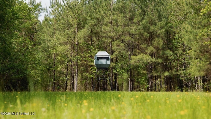 958± Acre High-Fence Ranch in Oakdale, Louisiana