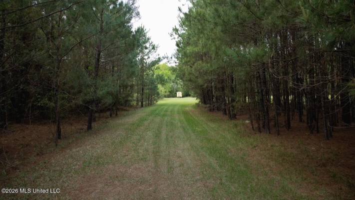 958± Acre High-Fence Ranch in Oakdale, Louisiana
