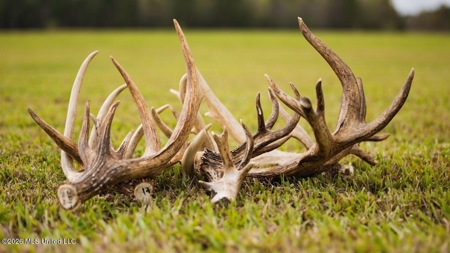 958± Acre High-Fence Ranch in Oakdale, Louisiana - image 33