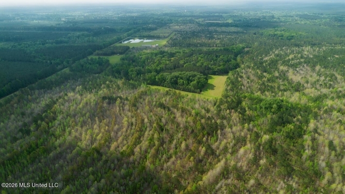958± Acre High-Fence Ranch in Oakdale, Louisiana